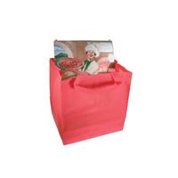 BORSA PORTAPIZZA